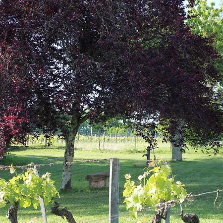 Bed and Breakfast La Vigneraie De Laura Sainte-Colombe  Exterior foto